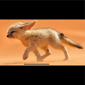 Meet your Posher, Carlos